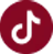 tiktok-icon